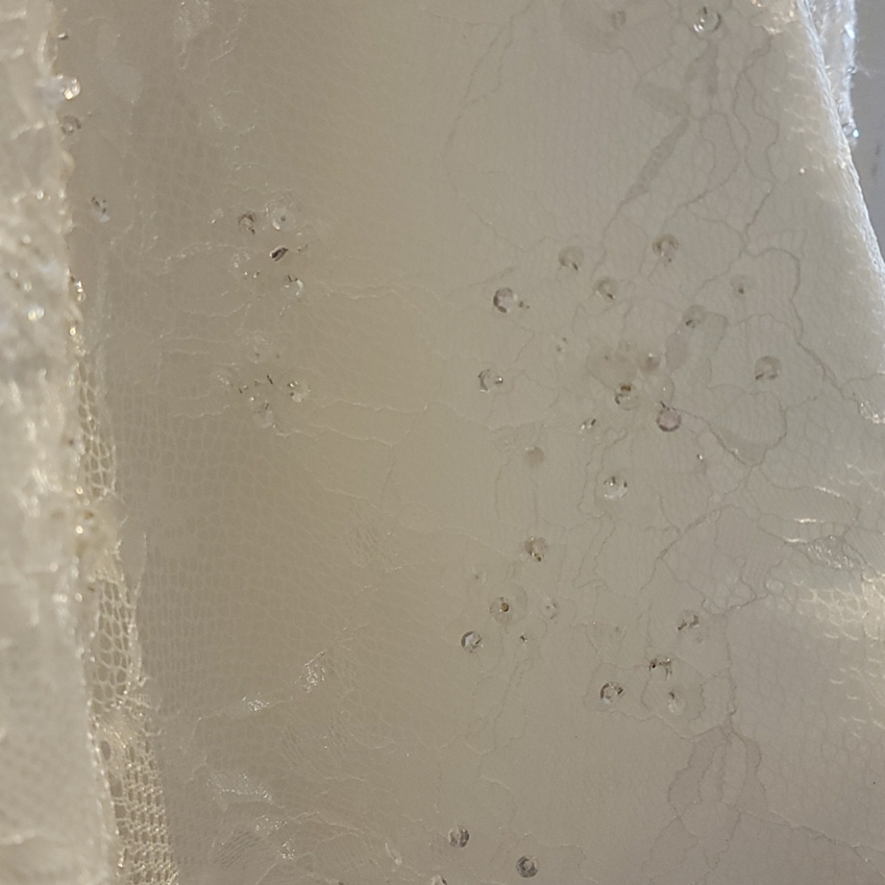 Ivory Maggie Sottero Brandy Wedding dress - Picture 11 of 12